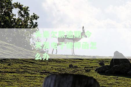 头条欠款逾期,今天发电子律师函怎么办理，处理头条欠款逾期：如何应对今天收到的电子律师函？