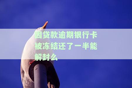 因贷款逾期银行卡被冻结还了一半能解封么，贷款逾期导致银行卡冻结，还款一半后能否解冻？
