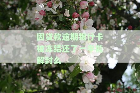 银行贷款逾期冻结账户,其他银行卡还能用么，逾期未还银行贷款，账户被冻结，其他银行卡还能正常使用吗？