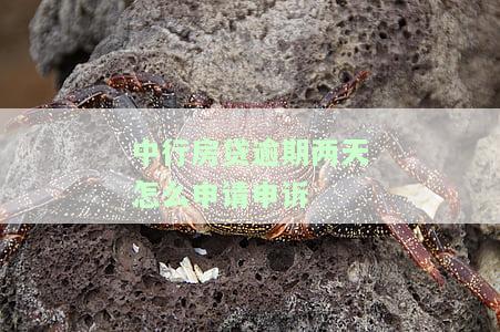 中行房贷逾期两天如何申请申诉解决？影响及处理方式全解析