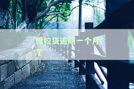 微粒贷逾期一个月需全部还款，有何后果？能否继续使用？