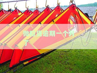 微粒贷逾期一个月会有什么后果？真的会被报案处理吗？