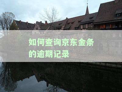 如何查询京东金条逾期记录信息及其影响？