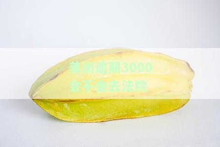 美团逾期3000会不会去法院起诉呢，美团逾期3000元，会否被起诉到法院？