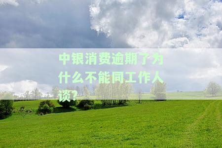 中银消费逾期了为什么不能同工作人谈话？能否申请减免逾期费用并分期还款？过年是否会催收？逾期两年如何还清欠款并避免上报人行？