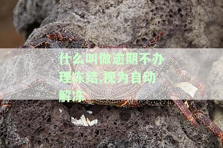 冻结逾期可自动解冻结,如需长冻结,应重新办理手续，如何处理冻结的账户？逾期可自动解冻，但需重新办理手续以长冻结时间