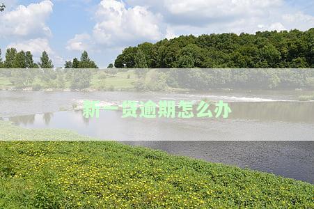 新一贷逾期多久会会强制还款，了解新一贷的还款政策：逾期多久会强制还款？