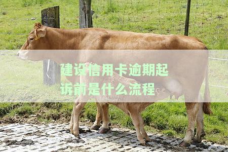 建行信用卡2020逾期新规，建行信用卡2020年逾期还款新规定全面解读
