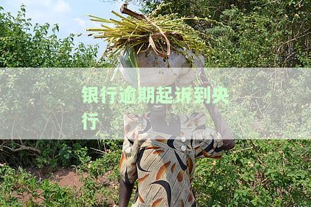 银行逾期起诉到央行要多久，了解银行逾期的法律进程：从起诉到被纳入央行黑名单需要多长时间？