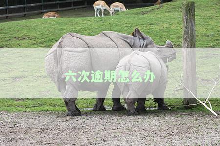 有六次逾期怎么消除，如何消除六次逾期记录？