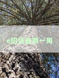 e招贷逾期一周会上征信吗，e招贷逾期一周会否影响征信记录？