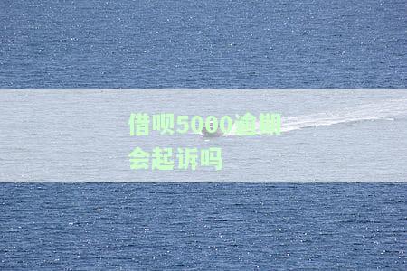 借呗5000逾期会起诉吗法院，借呗5000元逾期未还，是否会遭到法院起诉？