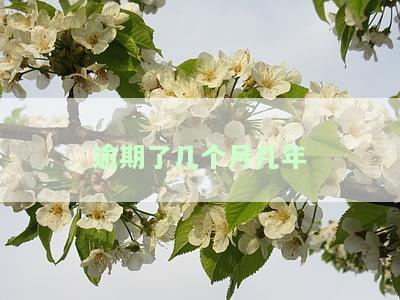 逾期了几个月几年