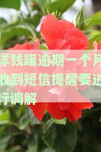 洋钱罐逾期一个月收到短信提醒需要调解，费用多少？