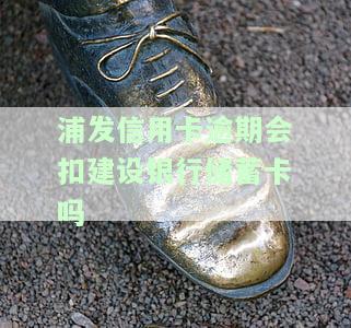 浦发信用卡逾期，警惕！浦发信用卡逾期可能带来的严重后果