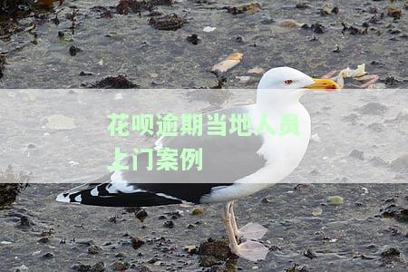 花呗欠六千逾期，真有上门调查追究责任的情况吗？该如何应对？