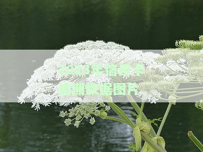 2020年第三度信用卡逾期数据，揭示2020年Q3信用卡逾期情况，警示风险与防措