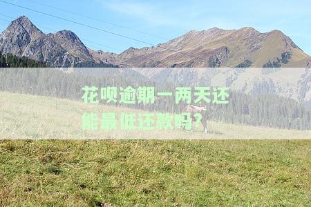 花呗逾期两天把钱还上会影响额度吗，花呗逾期两天还款是否会影响额度？