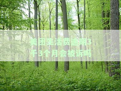 美团生活费逾期3千3个月会被诉吗，美团生活费逾期3千3个月是否会面临诉讼？