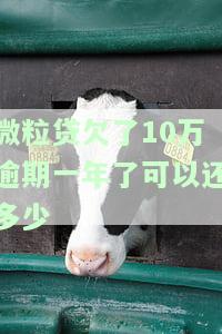 微粒贷欠了10万逾期一年了可以还多少利息，微粒贷欠款10万逾期一年，应支付多少利息？