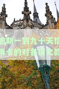 逾期九十天以上信用卡账户可能产生的欠款种类及还款顺序