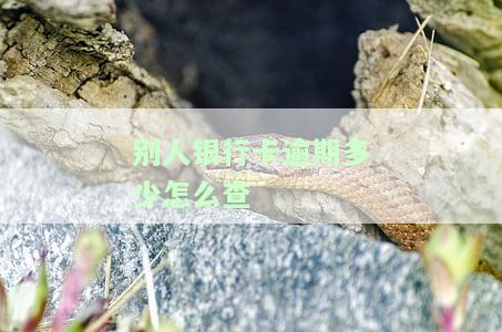 如何查询其他电话卡或手机卡的欠费金额？