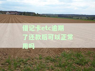 借记卡ETC逾期还款后能否正常使用？安全吗？不还款会有何后果？