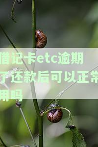 etc借记卡不还款会怎样，警惕！etc借记卡未还款的后果严重性