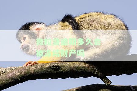 微粒贷逾期多久会被冻结财产？安全性与可靠性如何？多久会列入失信人？