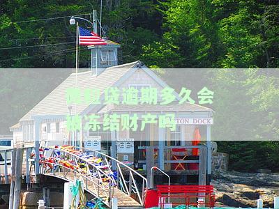 微粒贷逾期多久会被起诉？如何查询及处理逾期情况？逾期多久才不会坐牢及被强制还款？