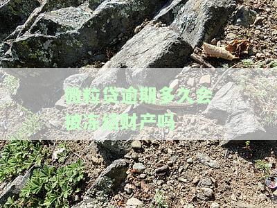微粒贷逾期多久会被强制还清？多久会催收、让一次性还清？逾期多长时间没事？不会坐牢的！