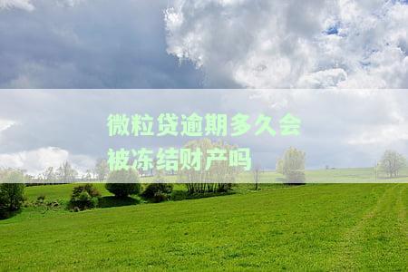 微粒贷逾期多久会被冻结财产吗-微粒贷逾期多久会被冻结财产吗安全吗