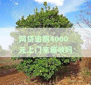 网贷逾期4000元上门来催收吗怎么办，网贷逾期4000元，催收人员真的会上门吗？如何应对？