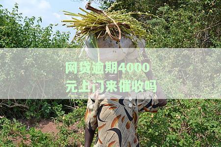 网贷逾期4000会上门吗，会不会上门？网贷逾期4000的后果和可能的催收方式