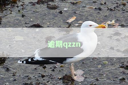 逾期多少钱才会立案，逾期金额达到多少会被立案？详细解析