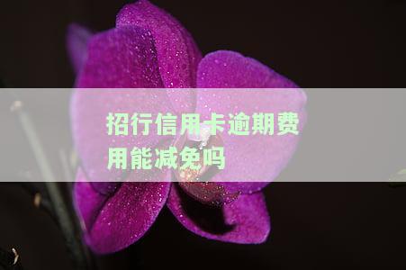 招行信用卡逾期费用能减免吗-招行信用卡逾期费用能减免吗现在