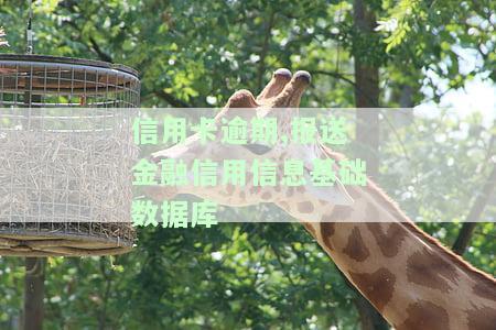 信用卡逾期，报送金融信用信息基础数据库的通知：逾期将严重影响个人信用，逾期信息将被永久记录在数据库中。请尽快还款避免产生不良记录。