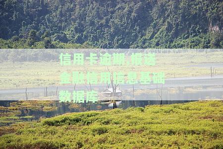 逾期须报送金融信用信息基础数据库，影响多久？逾期记录会影响您的信用，逾期多久才能消除？已逾期需立即报送，特此告知。