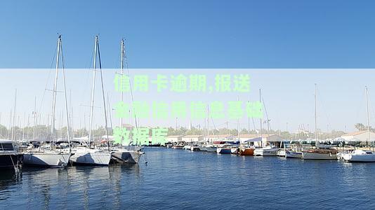 信用卡逾期,报送金融信用信息基础数据库-信用卡逾期报送金融信用信息基础数据库