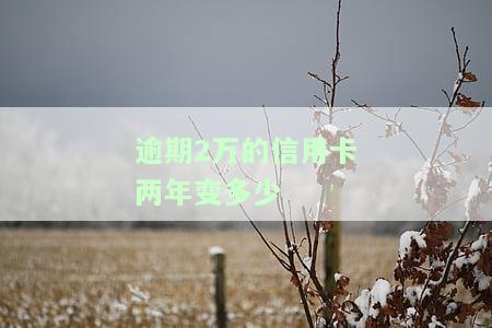 两万的信用卡逾期两年多会坐牢吗，信用卡逾期两年多，欠款两万是否会有牢狱之灾？