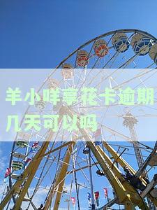 羊小咩享花卡逾期一天会怎么样，关于羊小咩享花卡逾期一天的后果，你需要了解什么？