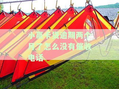 小赢卡贷逾期半年了怎么都不见催还电话呢，小赢卡贷逾期半年未接到催还电话，是否需要主动联系？