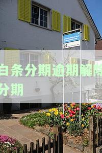 白条逾期取消分期，如何取消白条逾期后的分期付款？