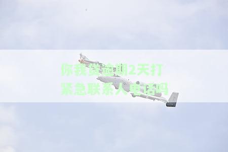 你我贷逾期2天打紧急联系人电话吗会怎样，你我贷逾期两天，紧急联系人会被打电话吗？后果是什么？