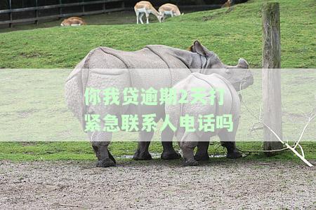 你我贷逾期2天打紧急联系人电话吗-你我贷逾期2天打紧急联系人电话吗是真的吗