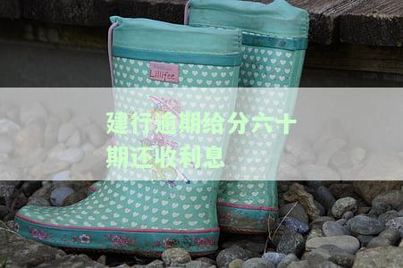 建行逾期给分六十期还收利息-建行逾期给分六十期还收利息吗
