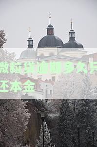 微粒贷逾期多久只还本金不还利息？可能会被起诉或要求全额还款、一次性还清尾款，时间长短因情况而异。