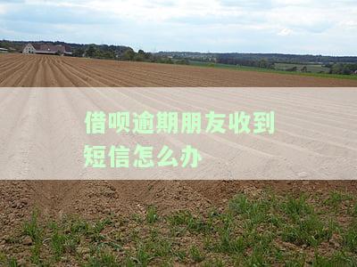 借呗逾期给朋友发短信，友情借款：如何妥善处理借呗逾期并避免伤害朋友关系？