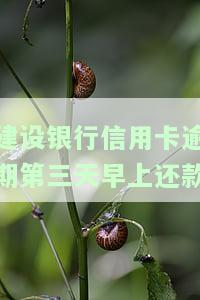 建设银行信用卡逾期第三天早上还款可以吗，建设银行信用卡逾期3天，早上还款可行吗？