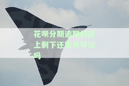 花呗逾期已还剩下的分期继续分期还可以吗，花呗逾期后已还款，剩余分期可以再次分期处理吗？